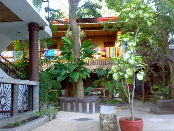 Love'S Beach & Dive Resort Moalboal Exteriör bild
