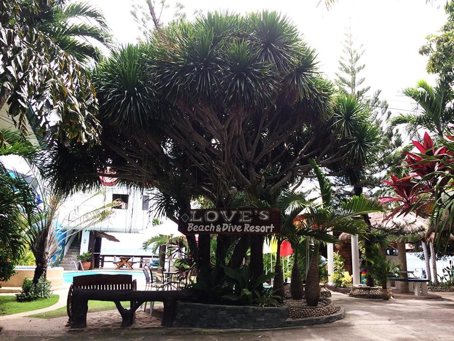 Love'S Beach & Dive Resort Moalboal Exteriör bild