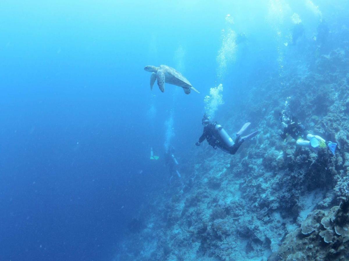 Love'S Beach & Dive Resort Moalboal Exteriör bild
